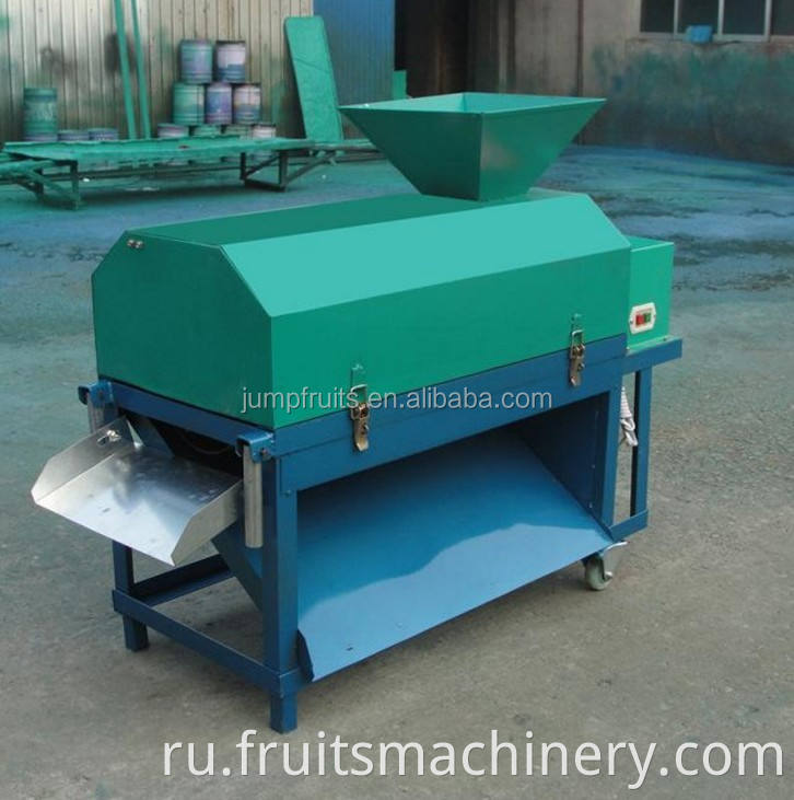 Walnut Kernel Oil Processing Machine Oil Press Machine